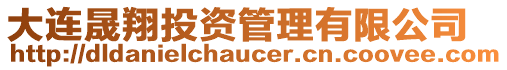 大連晟翔投資管理有限公司