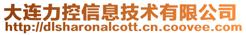 大連力控信息技術有限公司