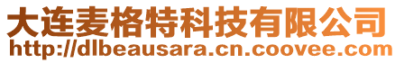 大連麥格特科技有限公司