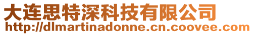 大連思特深科技有限公司
