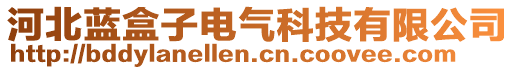 河北藍盒子電氣科技有限公司