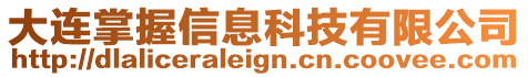大連掌握信息科技有限公司