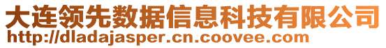 大連領(lǐng)先數(shù)據(jù)信息科技有限公司