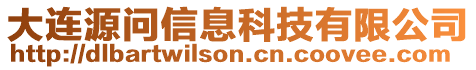 大連源問信息科技有限公司