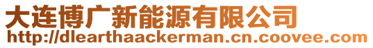 大連博廣新能源有限公司