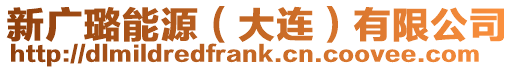新廣璐能源（大連）有限公司