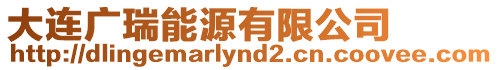 大連廣瑞能源有限公司
