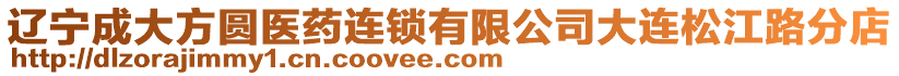 遼寧成大方圓醫(yī)藥連鎖有限公司大連松江路分店