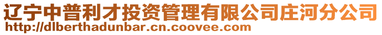 遼寧中普利才投資管理有限公司莊河分公司