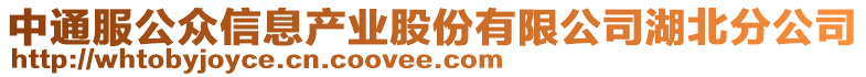 中通服公眾信息產業股份有限公司湖北分公司