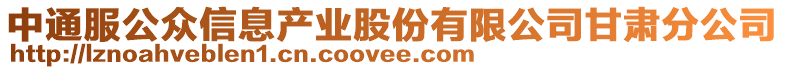 中通服公眾信息產業股份有限公司甘肅分公司