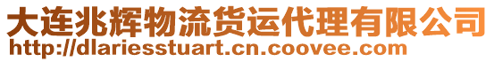 大連兆輝物流貨運代理有限公司