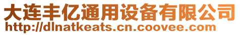 大連豐億通用設備有限公司
