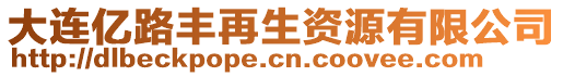 大連億路豐再生資源有限公司