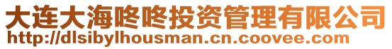 大連大海咚咚投資管理有限公司