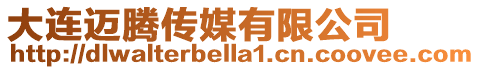 大連邁騰傳媒有限公司
