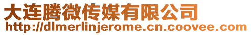 大連騰微傳媒有限公司