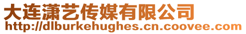 大連瀟藝傳媒有限公司