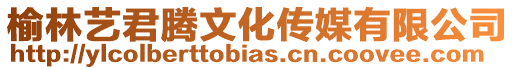 榆林藝君騰文化傳媒有限公司