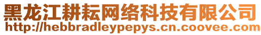 黑龍江耕耘網絡科技有限公司