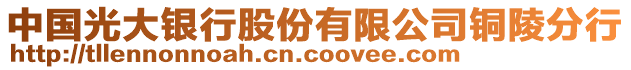 中國光大銀行股份有限公司銅陵分行