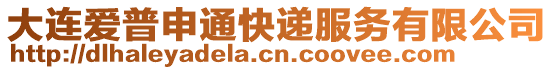 大連愛普申通快遞服務(wù)有限公司