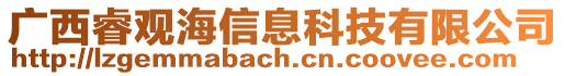 廣西睿觀海信息科技有限公司