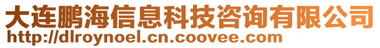 大連鵬海信息科技咨詢有限公司