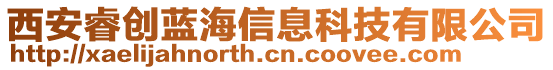 西安睿創(chuàng)藍海信息科技有限公司