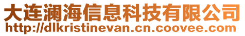 大連瀾海信息科技有限公司