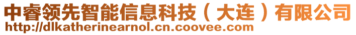 中睿領(lǐng)先智能信息科技（大連）有限公司