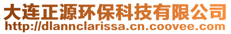 大連正源環保科技有限公司