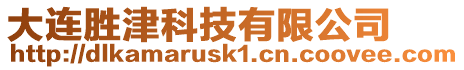 大連勝津科技有限公司