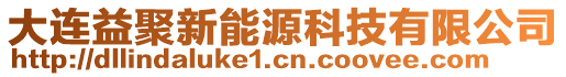 大連益聚新能源科技有限公司