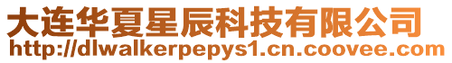 大連華夏星辰科技有限公司