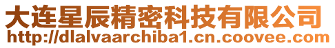 大連星辰精密科技有限公司