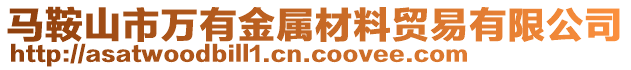 馬鞍山市萬有金屬材料貿(mào)易有限公司
