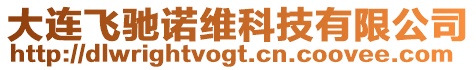 大連飛馳諾維科技有限公司