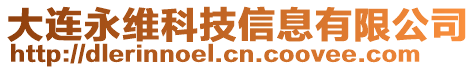 大連永維科技信息有限公司