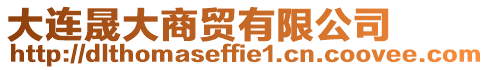 大連晟大商貿有限公司
