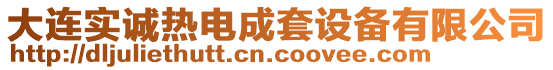 大連實誠熱電成套設備有限公司