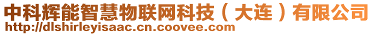 中科輝能智慧物聯(lián)網(wǎng)科技（大連）有限公司