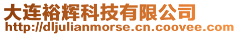 大連裕輝科技有限公司