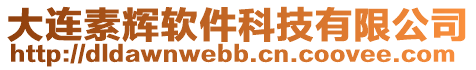 大連素輝軟件科技有限公司