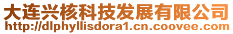 大連興核科技發展有限公司