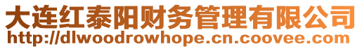 大連紅泰陽財務管理有限公司