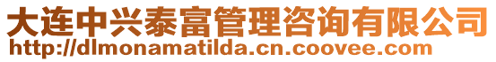 大連中興泰富管理咨詢有限公司
