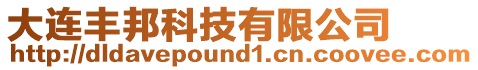 大連豐邦科技有限公司
