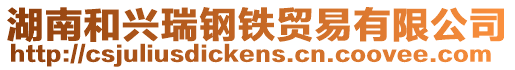 湖南和興瑞鋼鐵貿易有限公司
