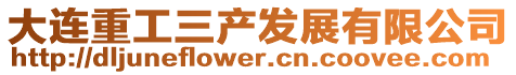 大連重工三產發展有限公司
